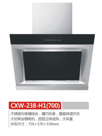 智能顶侧双吸净烟机(图1)