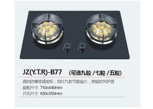JZ（Y.T.R)-B77