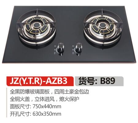 智能安全节能环保灶(图1)